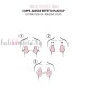 Лепенки за бюст за естествен push-up ефект Love and BRA BEAUTIFUL BRA, телесен Лепенки за бюст за естествен push-up ефект Love and BRA BEAUTIFUL BRA, телесен - Дамско бельо
